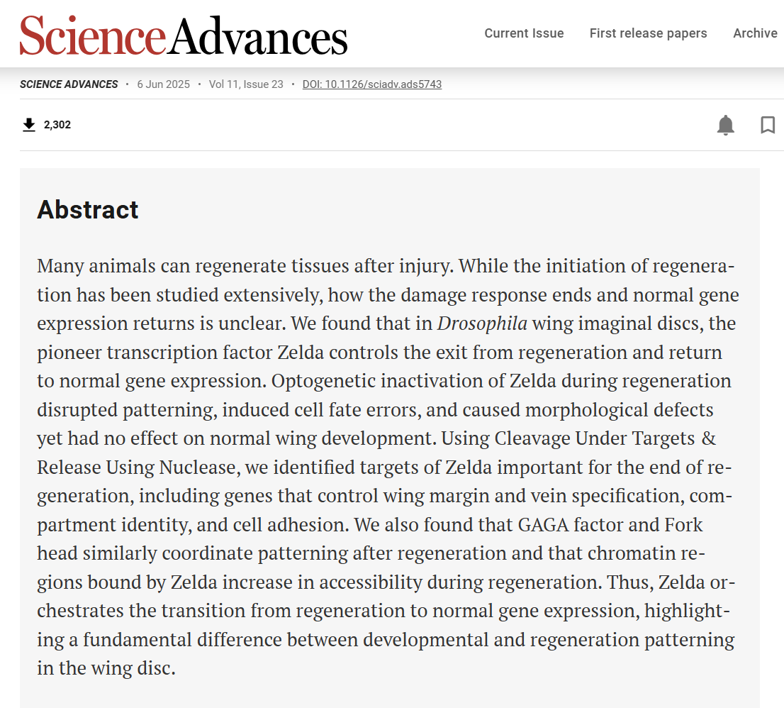 featured article preview image